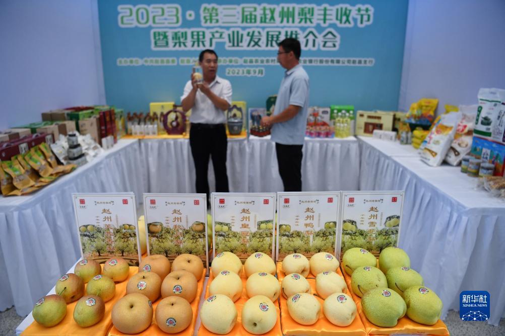 宝运莱网址